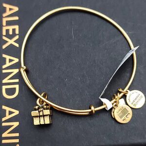 Alex And Ani Gift Box Charm Bracelet